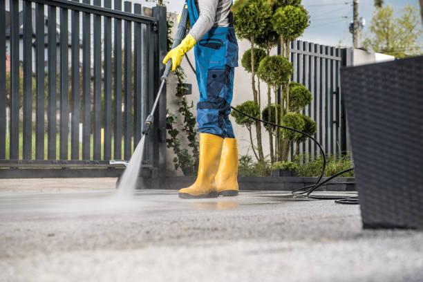 Animal Enclosure Cleaning in Heber, CA